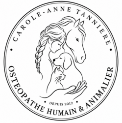 Osteopatoune : Ostéopathe Animalier